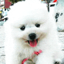 ���Ⱥݿɰ���ͼƬ