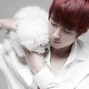 ���� �˸�