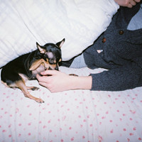 ���Գ��ŵ�����QQͷ����ľ���˸����� ����ľ��ѡ��·