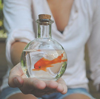 ��è���ֵ�˧������QQͷ����ϲ�������ɳ���һ��