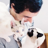 ����ζ�Ŀɰ�����QQͷ����ϲ������Ц�Ŀ�������