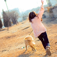 ˧��QQ����ͷ�񣬸߿����������ȴ�����������