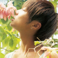 �����⾳����