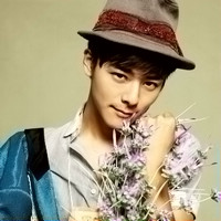 ͷ�� ����