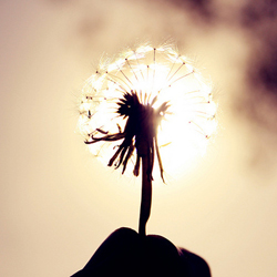 ������ʥ��̫��Ů��QQͷ����ħ����ͯ����ǰ���Ѿ�ʧȥɫ��