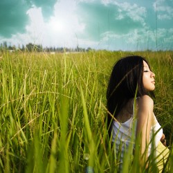 �����е�Ψ���ɰ�Ů��ͷ���Ѿ����������������ǻ���