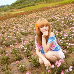 �����е�Ψ���ɰ�Ů��ͷ���Ѿ����������������ǻ���