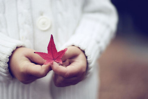 ����������Ů��ͷ��������������һ���ͻᰮ��