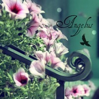 �����⾳�Ŀɰ����䣬�ҳ�ŵ�����һ�����Ҹ��Ϳ���