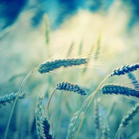 �����⾳�Ŀɰ����䣬�ҳ�ŵ�����һ�����Ҹ��Ϳ���