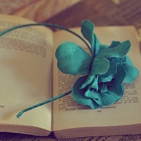 �����⾳�Ŀɰ����䣬�ҳ�ŵ�����һ�����Ҹ��Ϳ���