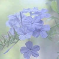 �����⾳�Ŀɰ����䣬�ҳ�ŵ�����һ�����Ҹ��Ϳ���