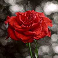 �����⾳�Ŀɰ����䣬�ҳ�ŵ�����һ�����Ҹ��Ϳ���