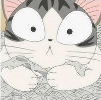 ����Ŀɰ�è��QQ����ͷ����ȷ��û�˱�����ʺ�