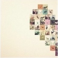 ����Ŀɰ�è��QQ����ͷ����ȷ��û�˱�����ʺ�