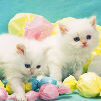 �óԺÿ����߲ʰ����ǣ���һ�����ҵ��ĵ�ȥ��