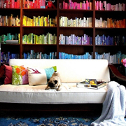 Ψ����ɫǦ��