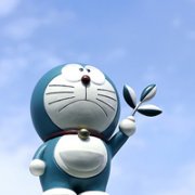 ����A�λ���èͷ�񣬶�ʱ��Զ�ľ��俨ͨ����