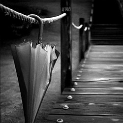 �˸��⾳�ڰ�ͷ�񣬼�ʹ�����ɻ��ǺͰ�ɫ����ҲҪ��ǿ