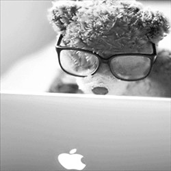 �˸��⾳�ڰ�ͷ�񣬼�ʹ�����ɻ��ǺͰ�ɫ����ҲҪ��ǿ