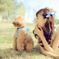 �ɰ��������qqŮ��ͷ��������̫���ˣ�����������