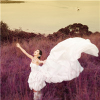 �����Ļ�ɴ��ͼƬͷ��ѩ�׵Ļ�ɴΨ���ķ羰����