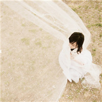 �����Ļ�ɴ��ͼƬͷ��ѩ�׵Ļ�ɴΨ���ķ羰����