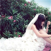 �����Ļ�ɴ��ͼƬͷ��ѩ�׵Ļ�ɴΨ���ķ羰����