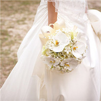 �����Ļ�ɴ��ͼƬͷ��ѩ�׵Ļ�ɴΨ���ķ羰����