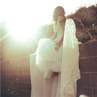 �����Ļ�ɴ��ͼƬͷ��ѩ�׵Ļ�ɴΨ���ķ羰����