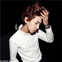 �ڰ�˧������QQͷ����������, ������