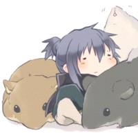 ���ȿɰ�����QQͷ��ֻ�����ñ���֪���������