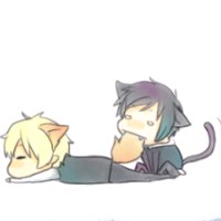 ���ȿɰ�����QQͷ��ֻ�����ñ���֪���������