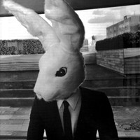 �ڰ��˸�����˧��ͷ���ҵ���������ı������Ѿ�����