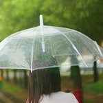 �����Ŀɰ�Ů��QQͷ�����������е�λ��û�������