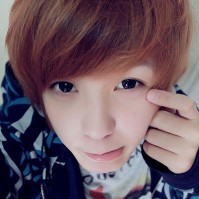 2012�³�˧������ͷ���Ҷ�ϣ����������ı��ڻ���