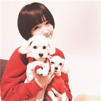 qq�崿Ψ������Ů��ͷ��ӣ��Ʈ��ķҷ���˼���ζ��