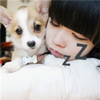 �ɰ���Ů��QQ��̬Ů��ͷ�񣬲��ò������ҵ���Ը