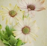 �����⾳�羰�������ĵȴ��Ż����ջ�