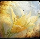 �����⾳�羰�������ĵȴ��Ż����ջ�