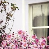 �����⾳�羰�������ĵȴ��Ż����ջ�