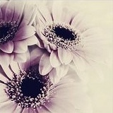 �����⾳�羰�������ĵȴ��Ż����ջ�