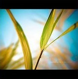 �����⾳�羰�������ĵȴ��Ż����ջ�