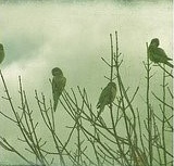 �����⾳�羰�������ĵȴ��Ż����ջ�