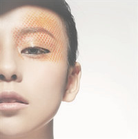 ��ʿ��ȵ�����