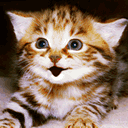 �ۣ���Ů��