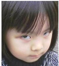 �ɰ���ЦС��