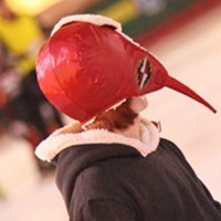 һЩ���δ����������ͷ�� ������ѡ����