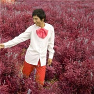 Ψ���Ҹ���Լ��������ͷ��