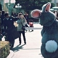 ��ͨ�����˰�����ͷ�� �������������